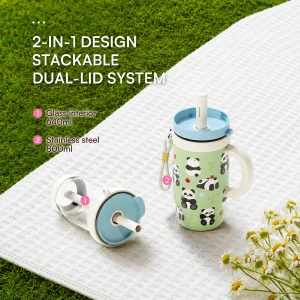 800ml 2 in 1 glass lined stainless steel thermal cup with straw